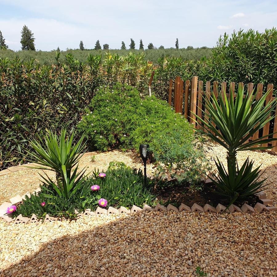 Finca-vallestares *
