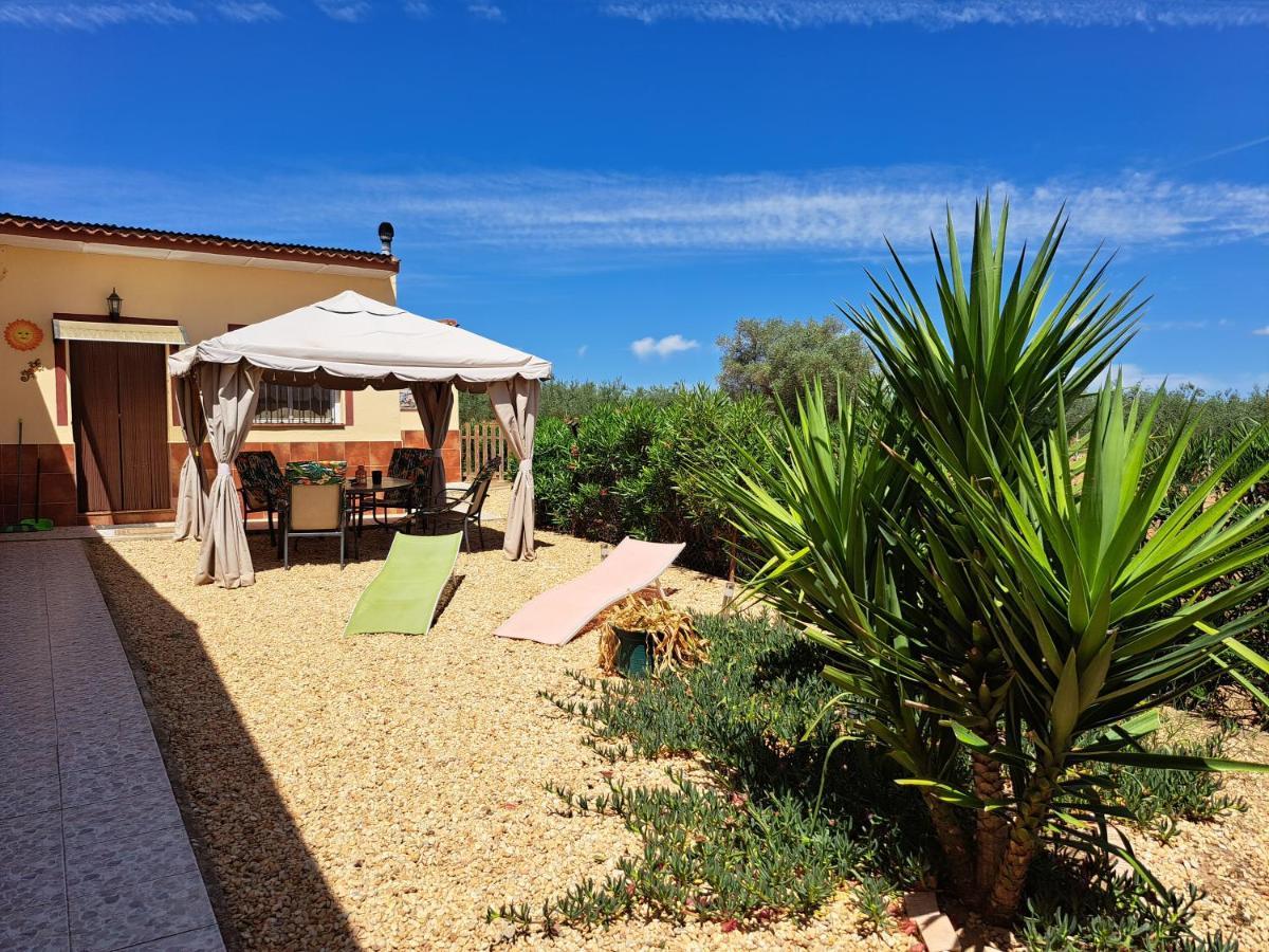 Apartment Finca-vallestares